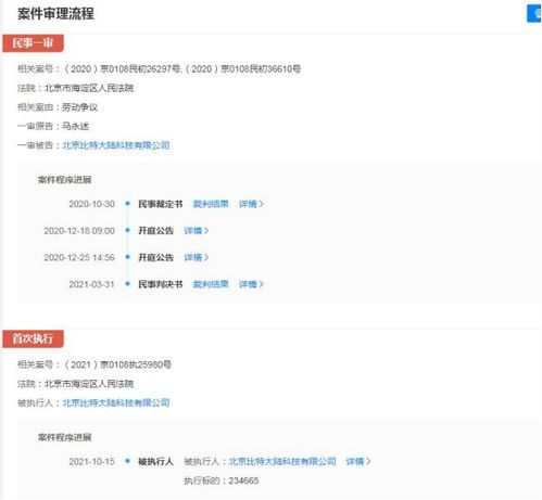 比特大陸關聯公司成被執行人，執行標的超23萬元涉及軟件開發