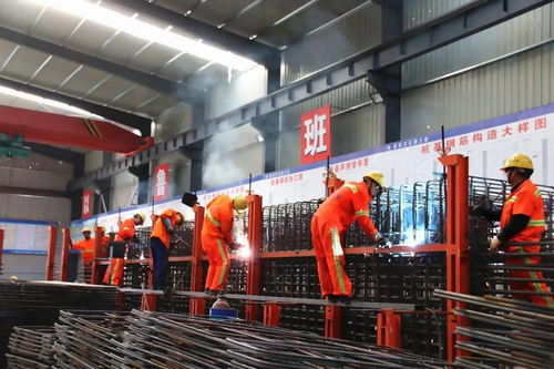 鄞玉項(xiàng)目榮獲全國(guó)海員工會(huì)2019年度公路工程建設(shè)勞動(dòng)和技能競(jìng)賽榮譽(yù)